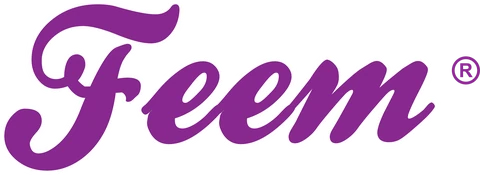 FEEM logo